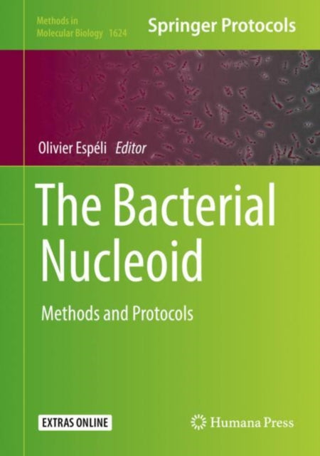 Bacterial Nucleoid
