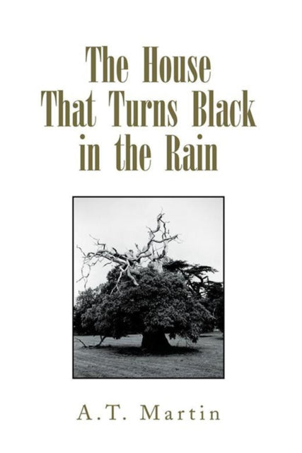 House That Turns Black in the Rain