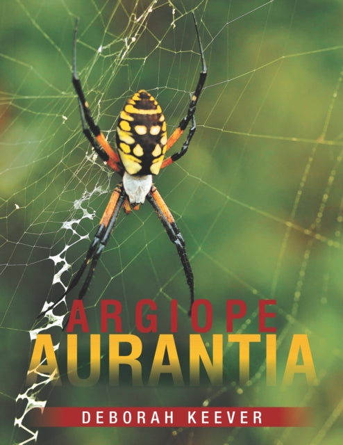 Argiope Aurantia
