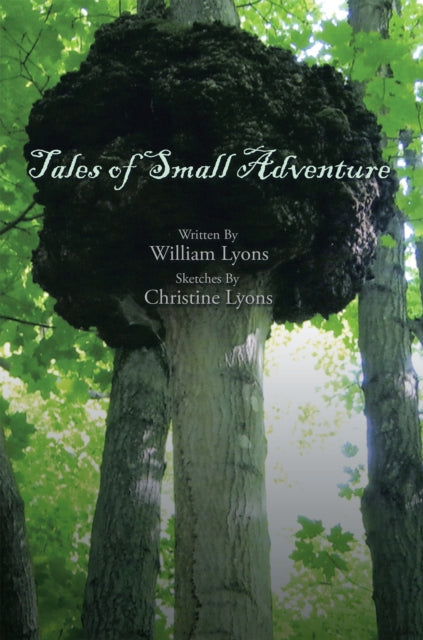 Tales of Small Adventure