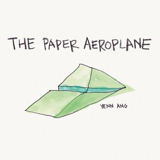 Paper Aeroplane
