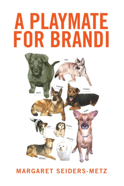 Playmate for Brandi