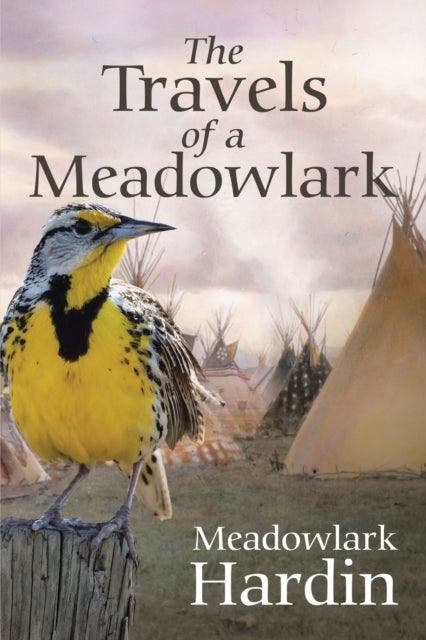 Travels of a Meadowlark