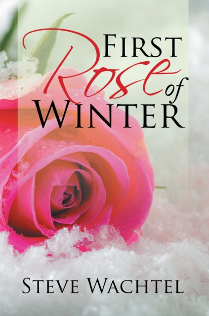 First Rose of Winter