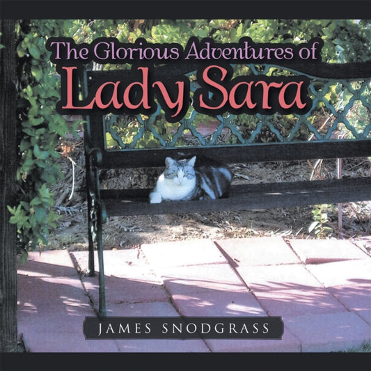Glorious Adventures of Lady Sara