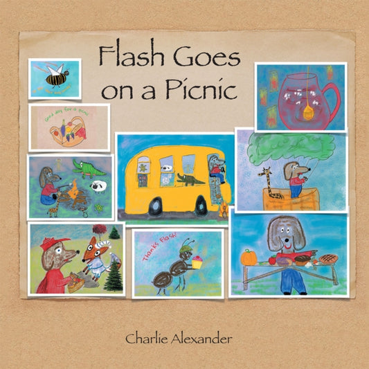 Flash Goes on a Picnic