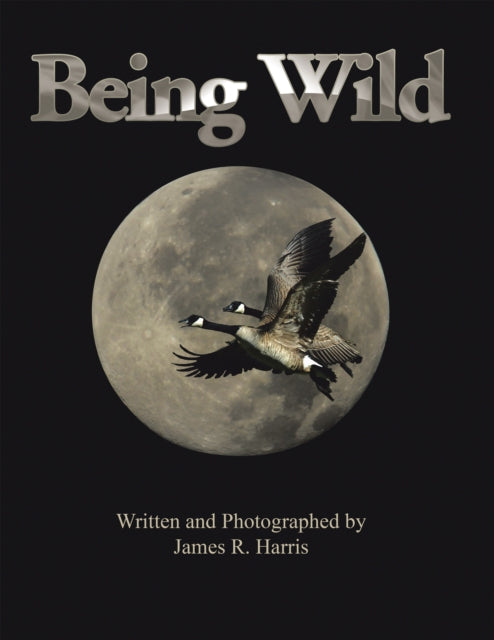 Being Wild