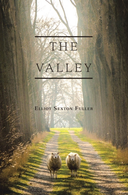 Valley