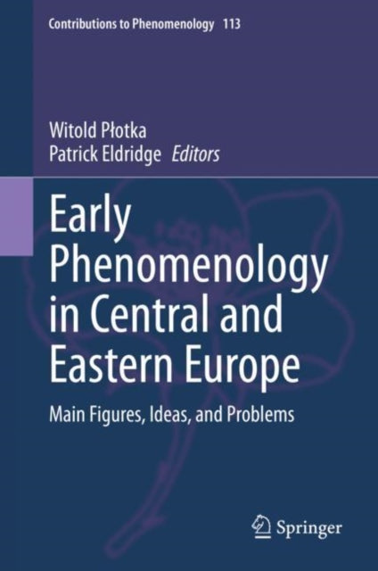 Contributions to Phenomenology