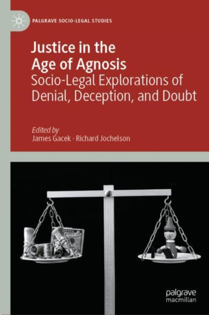 Palgrave Socio-Legal Studies