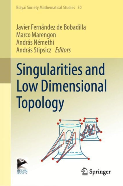 Bolyai Society Mathematical Studies