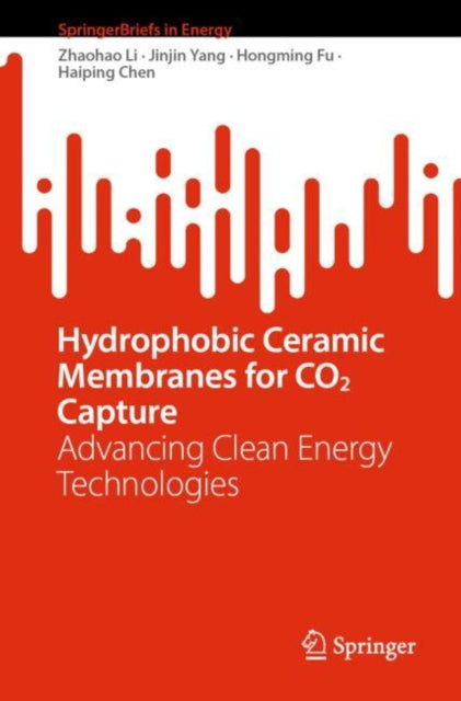 SpringerBriefs in Energy