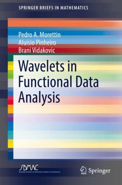 SpringerBriefs in Mathematics
