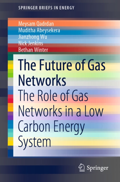 Future of Gas Networks