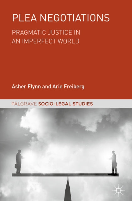 Palgrave Socio-Legal Studies