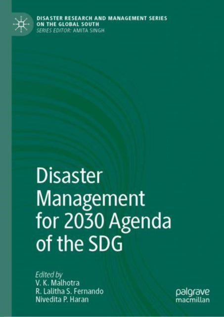 Disaster Research and Management Series on the Global South